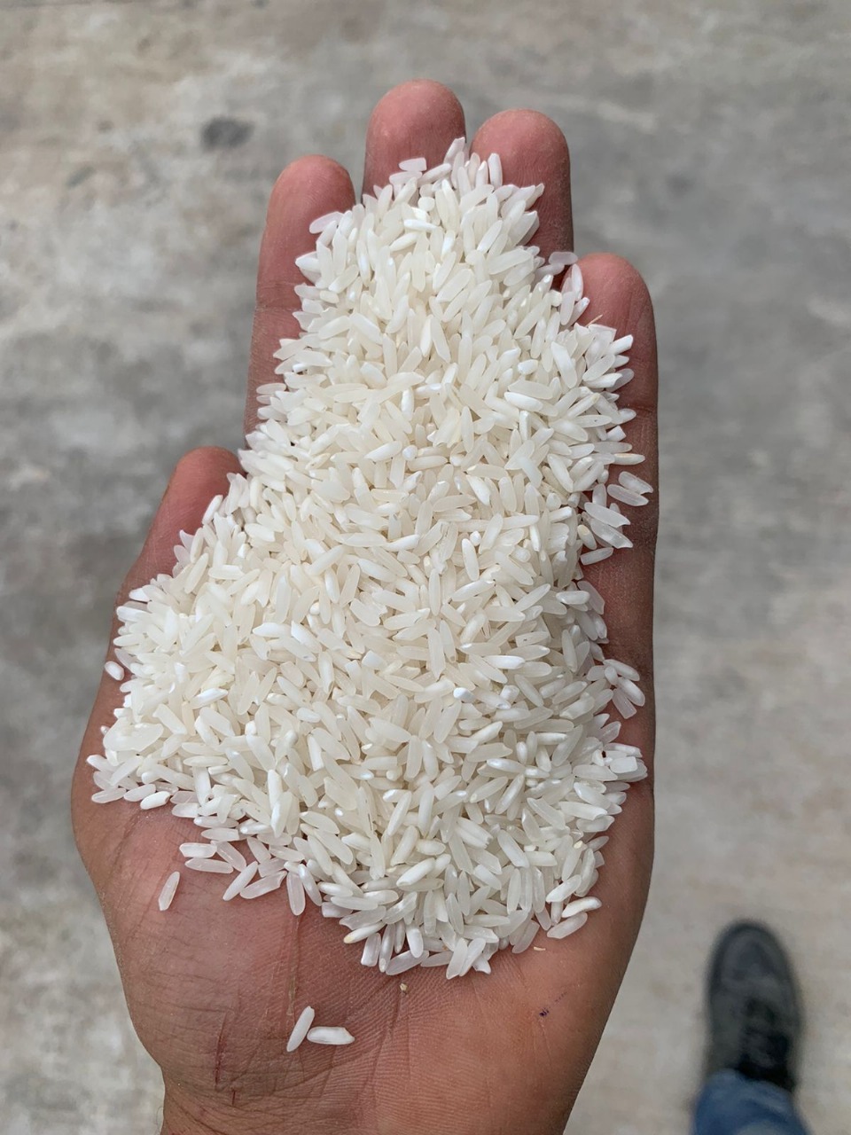 White rice.jpeg
