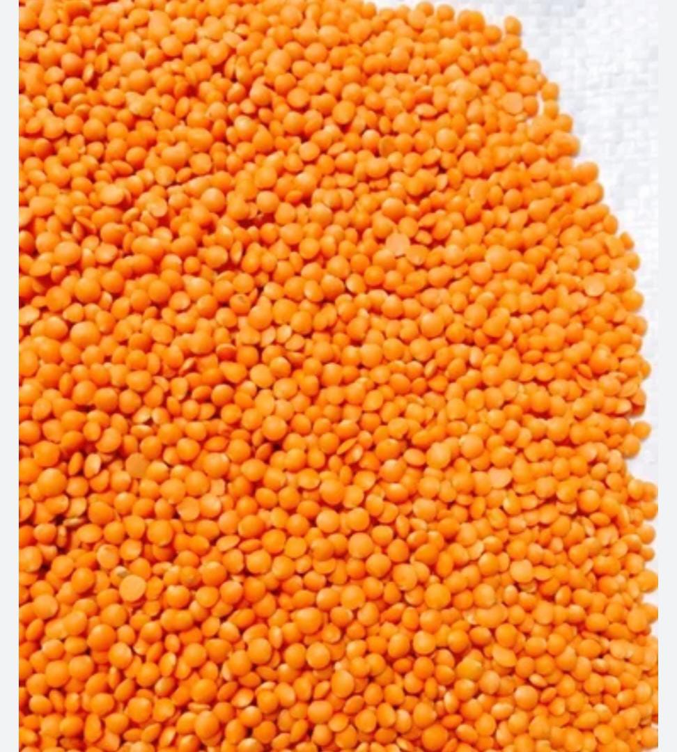 Red Lentil.jpeg