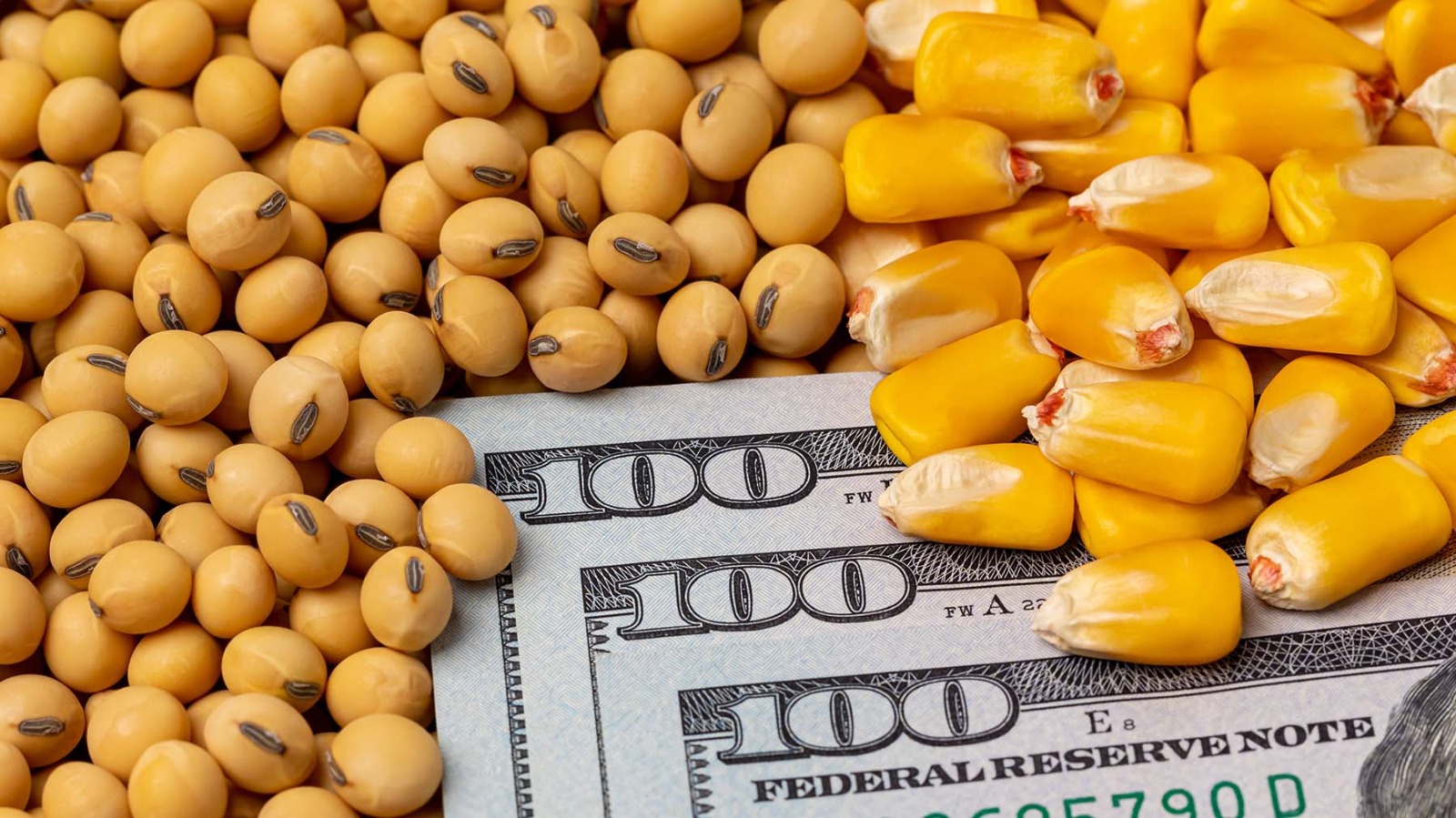 Soybean -Non Gmo- Yellow Corn.jpeg